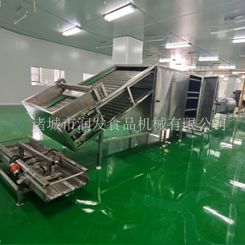 專業制造,全程服務——諸城潤發食品機械為您打造高效荷葉茶成套加工設備